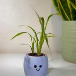 Happy Happie Planter, Cute Funny Plant Pot, Peace Lover Gift, Fun Modern Home Decor - Fast Delivery - thumbnail 2
