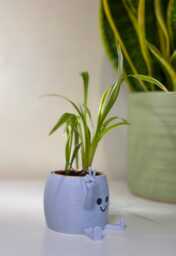 Happy Happie Planter, Cute Funny Plant Pot, Peace Lover Gift, Fun Modern Home Decor - Fast Delivery