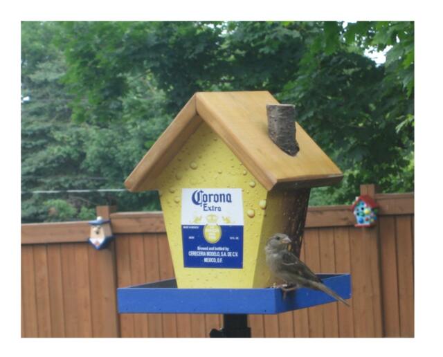 Corona Bird Feeder - image 1
