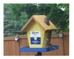 Corona Bird Feeder - thumbnail 1