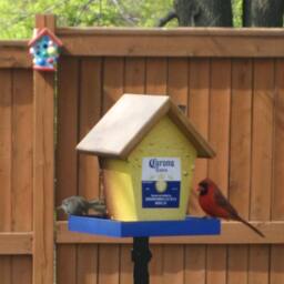 Corona Bird Feeder - thumbnail 2