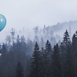 Misty Mountain Forest in Blue & Navy Nuances Wall Mural, Forests Mural, Fields Haze Wallpaper, Morning Fog Wallpaper - thumbnail 3