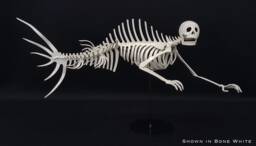 Merman Skeleton