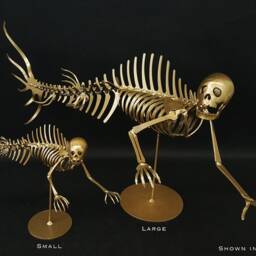 Merman Skeleton - thumbnail 4