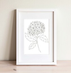Hydrangea Fine Art Print, Minimal Floral Stitched Line For Modern Home Decor , Flower Prints, Black & White Minimalist Wall - thumbnail 1