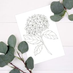 Hydrangea Fine Art Print, Minimal Floral Stitched Line For Modern Home Decor , Flower Prints, Black & White Minimalist Wall - thumbnail 3