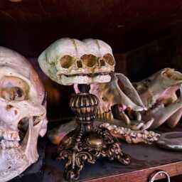 Conjoined Twins Fetal Skull Display - Gothic Anatomical Art Sculpture, Hand Painted Resin, Victorian Oddities, Curiosity Cabinet Decor - thumbnail 3