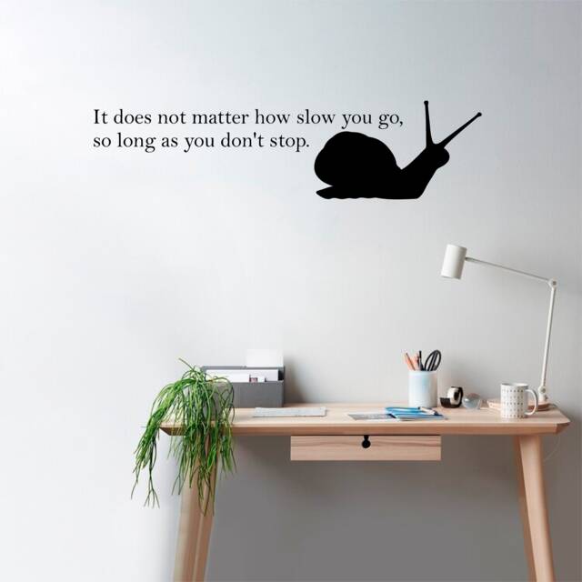 Snail - 0348, Wall Art Decal, Transfer, Mural, Sticker, 75 Colours, 5 Sizes, Interior Or Exterior Use , Easy To Apply - image 1
