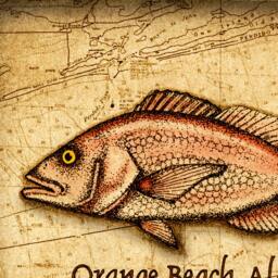 Orange Beach Red Snapper Art Print 11 X 14, Alabama, Deep Sea Fishing, Snapper, Gulf Of Mexico, Game Fish - thumbnail 2