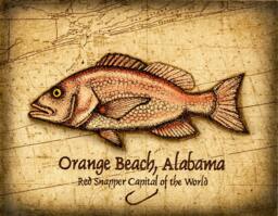 Orange Beach Red Snapper Art Print 11 X 14, Alabama, Deep Sea Fishing, Snapper, Gulf Of Mexico, Game Fish - thumbnail 1