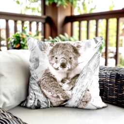 Koala Cushion Cover - Australian Wildlife Photography, Neutral Tones - thumbnail 1