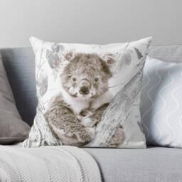 Koala Cushion Cover - Australian Wildlife Photography, Neutral Tones - thumbnail 3