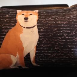 Shiba Inu Pillow - thumbnail 2