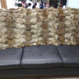 Real Coyote Fur Blanket Throw Hacki Color, Home Warmer - thumbnail 3