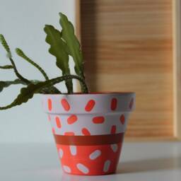 Hand Painted Terracotta Plant Pot Customizable Houseplant Planter