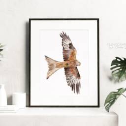 Milvus Bird Milan Raptor Watercolour Painting Original - thumbnail 2