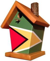 Guyana Flag Birdhouse - thumbnail 1