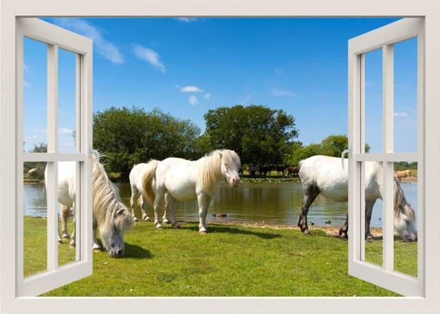 Horses Wall Decal, Sticker, Near Lake View Window Frame Decor Mural
