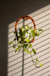 Plant Hanger, Classic Retro, Mid-Century Modern, Handmade Hanging Planter, Wooden Window Shelf - thumbnail 1