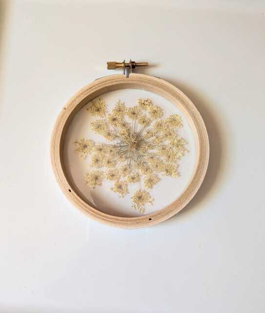 Framed Flowers Wall Art, Queen Anne's Lace Flowers, Hoop Art Decor, Botanical Gifts, Floral Arts, White Nature Lovers Gift - image 1