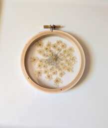 Framed Flowers Wall Art, Queen Anne's Lace Flowers, Hoop Art Decor, Botanical Gifts, Floral Arts, White Nature Lovers Gift - thumbnail 1