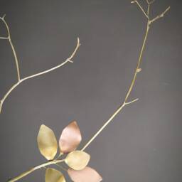 Sleeping Almond Tree - thumbnail 3