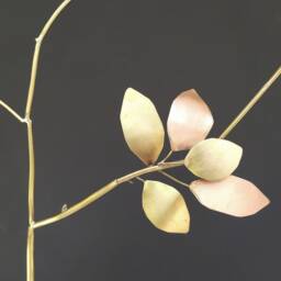 Sleeping Almond Tree - thumbnail 2