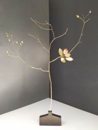 Sleeping Almond Tree
