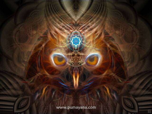 Nina Chusiqa Tapestry - Wall Hanging Totem- Meditation Spiritual Visionary Owl- Healing Art - image 1