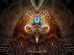 Nina Chusiqa Tapestry - Wall Hanging Totem- Meditation Spiritual Visionary Owl- Healing Art