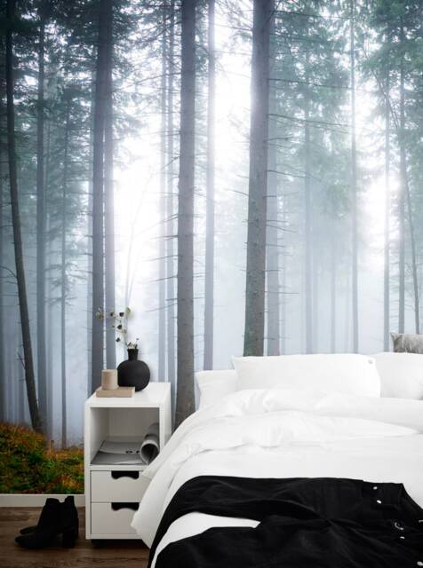 Hazy Forest Wall Mural, Foggy Morning, Misty Forest, Nature Mural, Wallpaper, D??cor, Decal, Nursery & Room Art - image 1