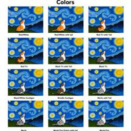 Corgi Shower Curtain - Starry Baroo Pembroke & Cardigan - thumbnail 2