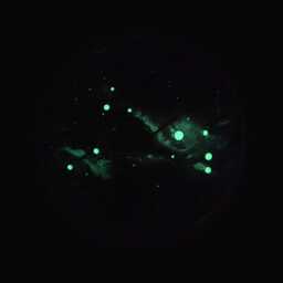 Aries Stars Constellation Wall Clock Glow in The Dark Celestial Hand Made Art - thumbnail 2