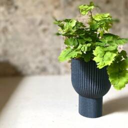"Tall Modern Planter ""Chalice" - thumbnail 2