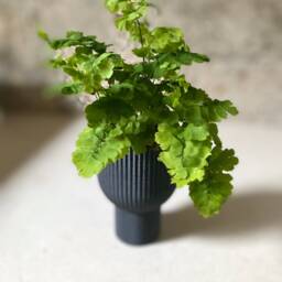 "Tall Modern Planter ""Chalice" - thumbnail 3