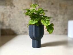 "Tall Modern Planter ""Chalice"
