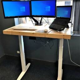 Sit Stand Desk, Electric Standing Ergonomic Height Adjustable Desk - The Rosie - thumbnail 3