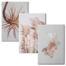 Canvas Set Of 3 - Flowers & Grasses On A Light Background in Harmonious Set, Beige Wall Art Large, Plants Decor - thumbnail 2