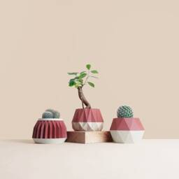 Set Of 3 Wooden Indoor Succulent Planter , Idea For Home Gifts Mid Century Modern Idea Plant Lovers - thumbnail 2