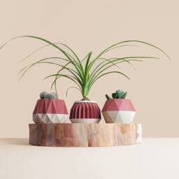 Set Of 3 Wooden Indoor Succulent Planter , Idea For Home Gifts Mid Century Modern Idea Plant Lovers - thumbnail 3