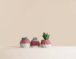 Set Of 3 Wooden Indoor Succulent Planter , Idea For Home Gifts Mid Century Modern Idea Plant Lovers