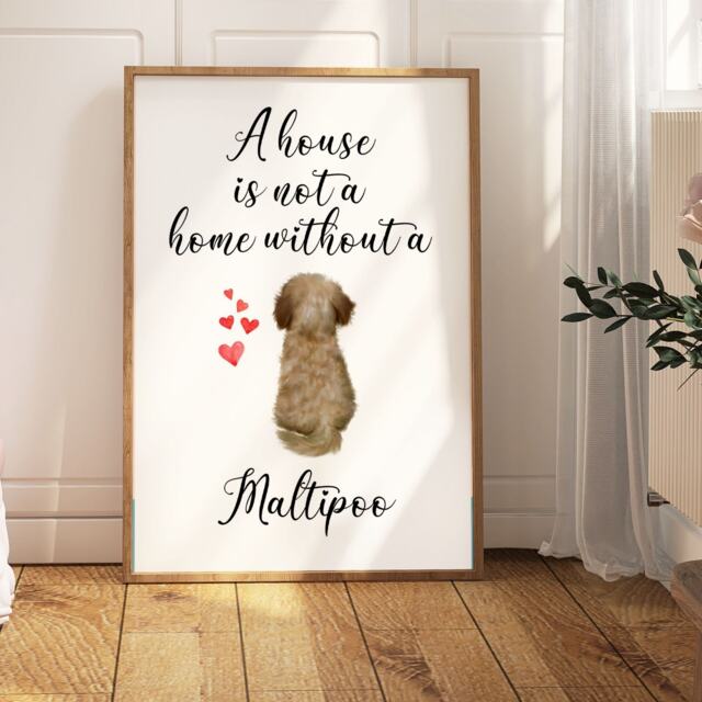 A House Is Not A Home Without Maltipoo, Wall Print For Maltipoo Owner, Print, Gift Mum - image 1