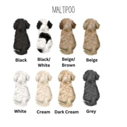 A House Is Not A Home Without Maltipoo, Wall Print For Maltipoo Owner, Print, Gift Mum - thumbnail 2