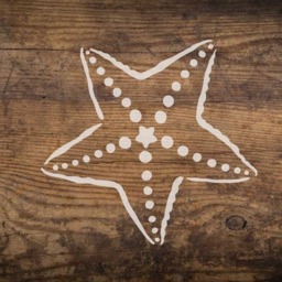 Big Starfish Wall Art Stencil - Wall Stencils Instead Of Decals Easy To Use Stencils For A Quick Room Update Walls - thumbnail 1