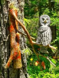 Great Grey Owl On Pine Branch, Wooden Owl, Hand Carved Bird, Realistic Bird, Woodcarving Gift, Owl Lover Gift, Artwork Hanger - thumbnail 1