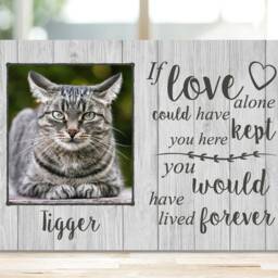 Dog Memorial Gift, Memorial, Pet Frame, Plaque, Photo Picture Puppy - thumbnail 2