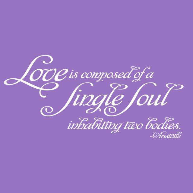 Wall Decal Aristotle Love Quote 02 Vinyl Art Inspirational Sticker - image 1