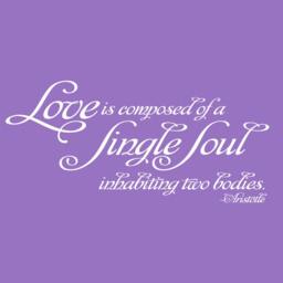 Wall Decal Aristotle Love Quote 02 Vinyl Art Inspirational Sticker - thumbnail 1