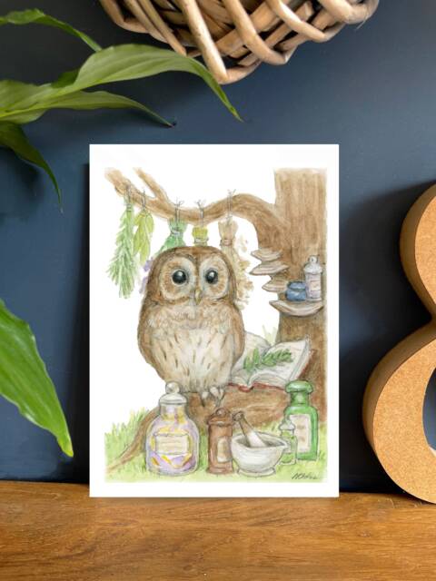 The Apothecary - Woodland Characters Series, A5 Art Print - image 1