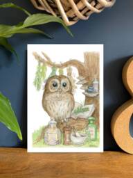 The Apothecary - Woodland Characters Series, A5 Art Print - thumbnail 1
